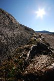 DSC_6432.jpg